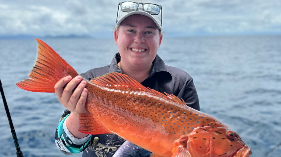 凱恩斯大堡礁出海釣魚之旅【含釣魚設備+午餐】