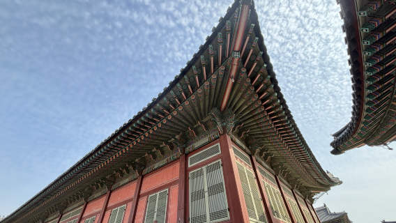 首爾日遊