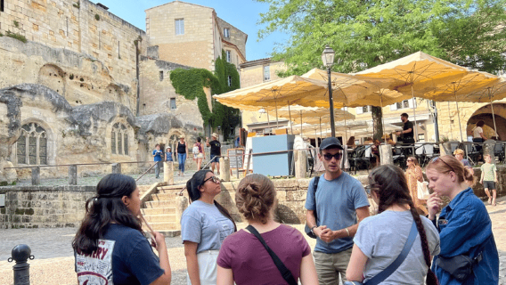 Da Bordeaux: tour di mezza giornata a Saint-Émilion con degustazione di vini