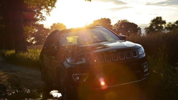 ทัศนศึกษาชายฝั่ง: ทัวร์รถจี๊ปไปยังอุทยานแห่งชาติ Punta Sur พร้อมอาหารกลางวัน