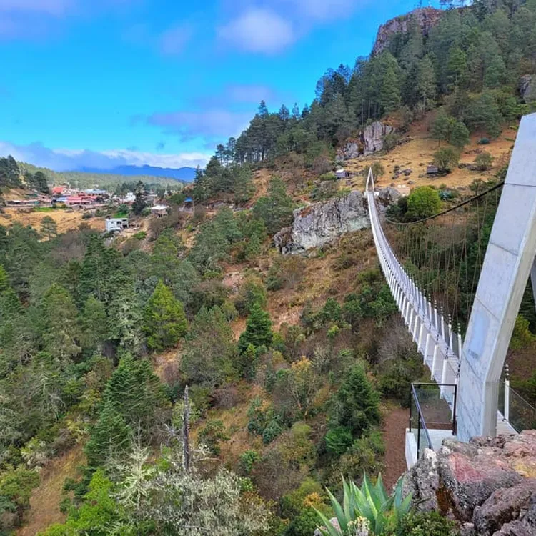 From Oaxaca: Sierra Norte Hike & Indigenous Village Full-Day