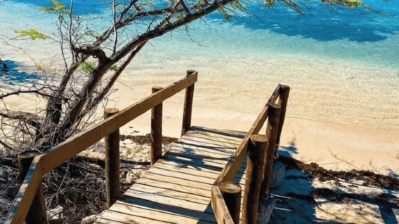 Puerto Rico: Pengalaman Air Terjun, Pantai & Kembara 4-dalam-1