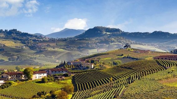 Tour privato: degustazione di vino Barolo nelle Langhe da Torino