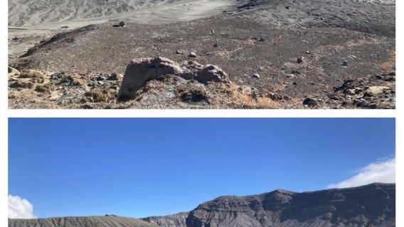 日本九州-福岡往返-大分海之卵水族館-春日神社-大分精品遊