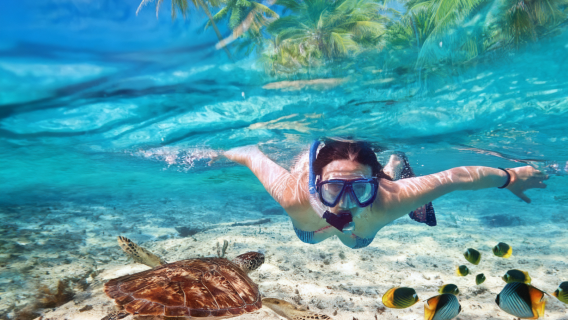 サバ・センポルナ・マブール島 ダブルアイランド ワンデーツアー【シュノーケリング/ダイビング選択可|2回シュノーケリング】