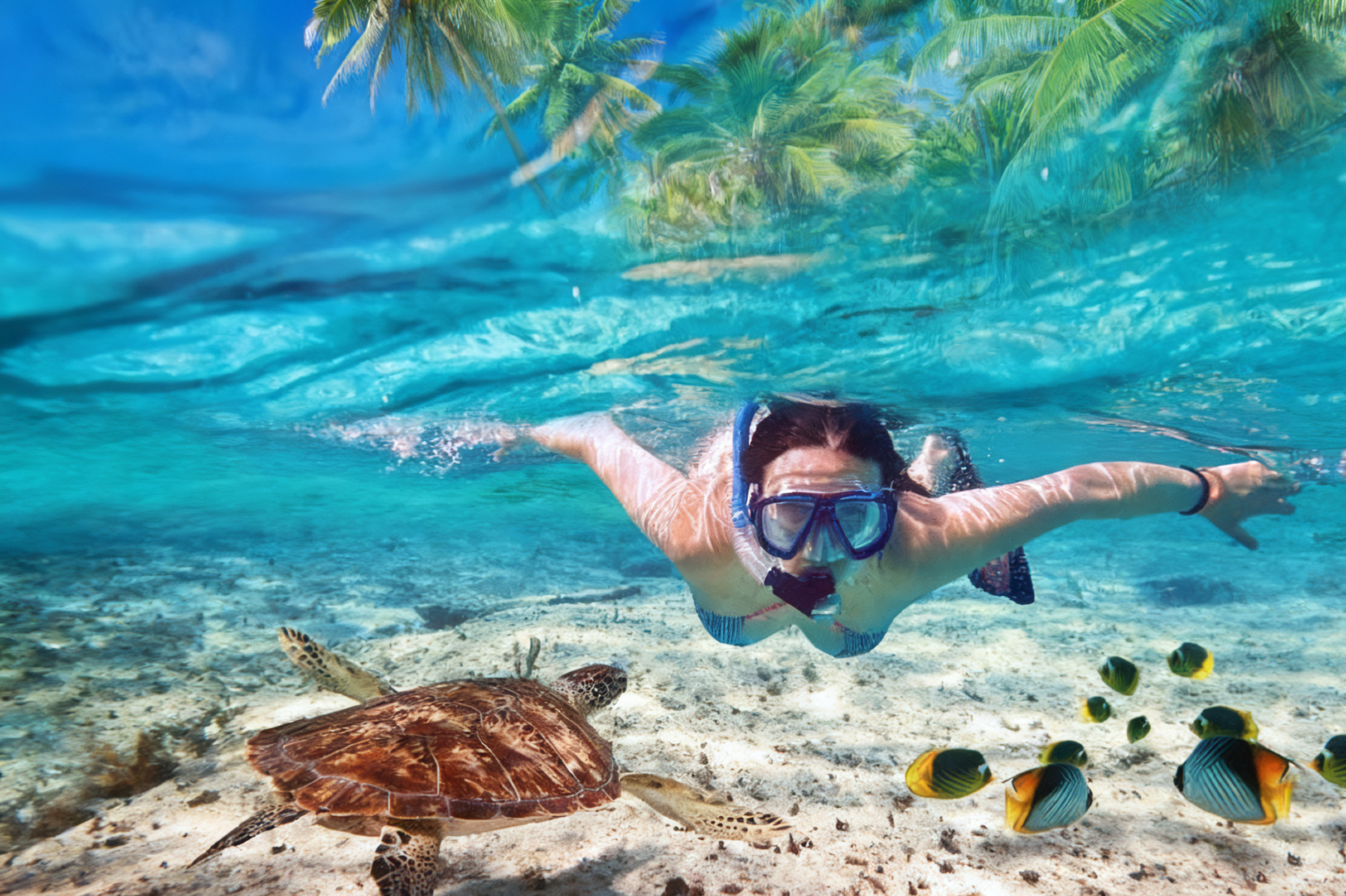 Tour di un giorno alle isole di Semporna e Isola di Mabul a Sabah [opzione snorkeling/subacquea | due sessioni di snorkeling]
