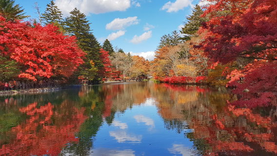 9人小團·輕井澤賞紅葉一日遊丨雲場池丨白絲瀑布丨星野度假區