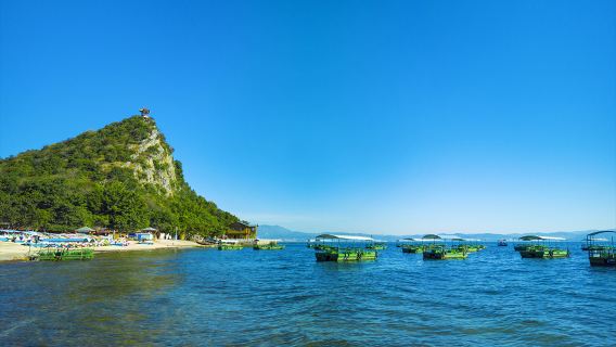 昆明+澄江撫仙湖+祿充+月亮灣包車一日遊【專車接送私享訂製】