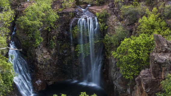Excursion d'une journée au parc national de Litchfield depuis Darwin [Service en anglais + Aller-retour depuis Darwin]