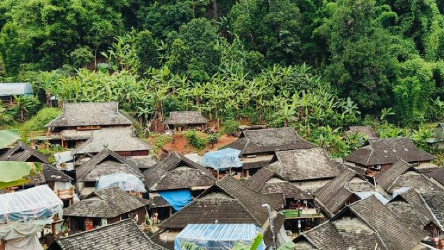 Jingmai-Berg + Alter Wengji-Dorf + Alter Nuogan-Dorf Tagesausflug|Abholung und Transfer|Wolkenmeer erkunden