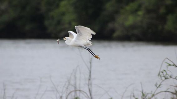 秘魯全境｜翻譯陪同｜地陪旅遊｜展會｜商務考察｜地接｜（可私人定制）