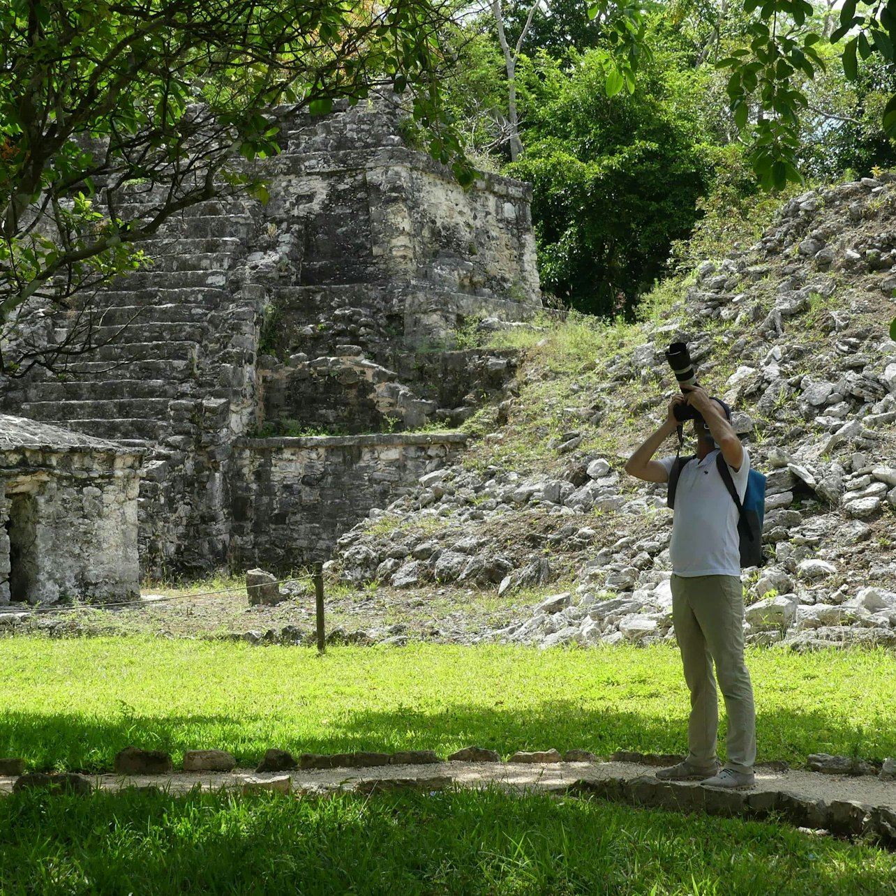 Muyil: tour guidato di birdwatching + colazione + trasferimento