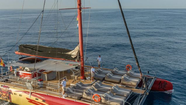 Teneriffa: 3-stündige Wal- und Delfin-Beobachtungstour