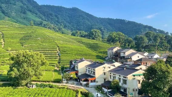 ประสบการณ์เก็บใบชา · หางโจว เจ้อเจียง · ชาหลงจิงทะเลสาบซีหู · เหมยเจียหวู · วัฒนธรรมชา · ถ่ายภาพทางอากาศด้วยโดรน · แหล่งผลิตหลัก · สวนชาแบบขั้นบันได · มรดกทางวัฒนธรรมที่จับต้องไม่ได้ของการเก็บใบชา + คั่วชา + ชิมชา + ชงชา + บดชา