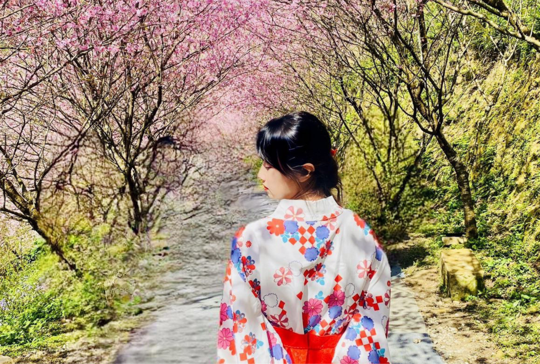 One-Day Tour to Three Gorges Big Bear Cherry Blossom Forest