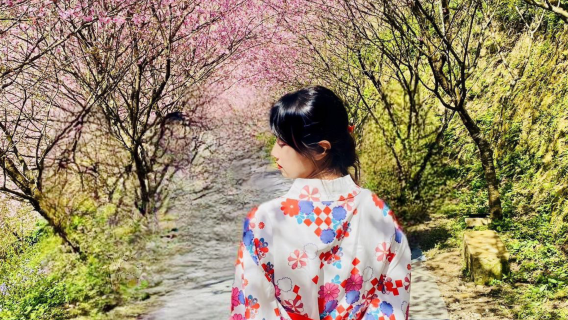 Una excursión de un día al Bosque de cerezos en flor de las Tres Gargantas, el Templo Ancestral de las Tres Gargantas y la Antigua Calle de las Tres Gargantas.