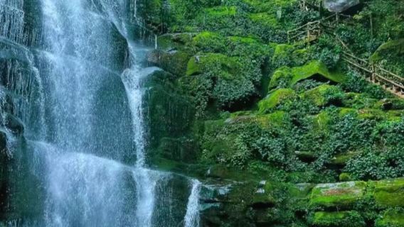 Tour di un giorno allo zoo selvatico di Bifengxia e al fiume Laba di Erlangshan a Ya'an, Sichuan con noleggio con conducente esclusivo e servizio in inglese