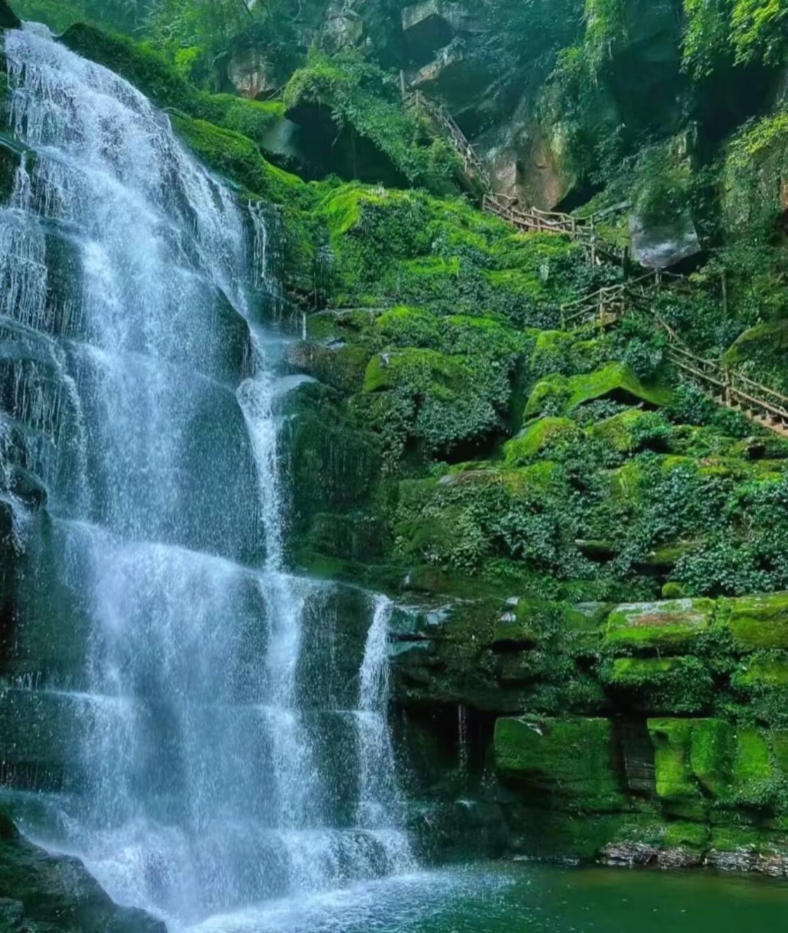Tour di un giorno allo zoo selvatico di Bifengxia e al fiume Laba di Erlangshan a Ya'an, Sichuan con noleggio con conducente esclusivo e servizio in inglese