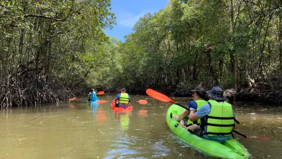 Featured tour starting at 1957 THB: Ko Yao YaiKayaking2-6 hours [Koh Yao Yai : Mangrove Kayaking Adventure]