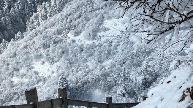 成都至西嶺雪山景點接駁車（豪華大巴）正規車輛