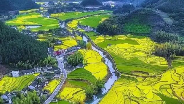 Lawatan sehari ke Wuyuan Shangrao Jiangxi: Huangling + Jiangling + Likeng + Teluk Bulan