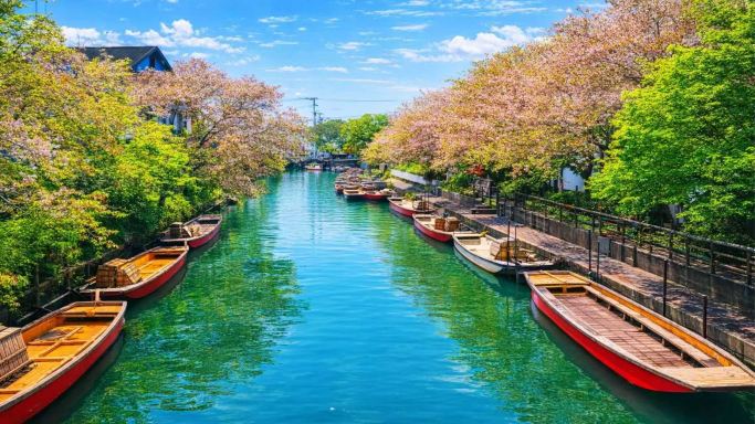 Yanagawa Island One-Day Tour