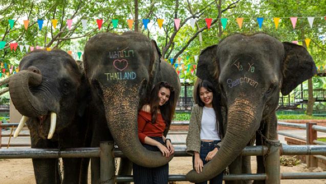 Private Samphran Zoo & Giant Dragon Temple Tour from Bangkok with Crocodile Show