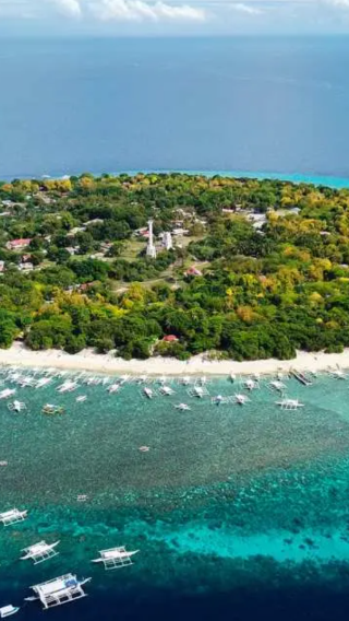 Bohol Island Day Trip | Snorkeling at Balicasag + Strolling on Virgin Island. Dolphin Watching. Turtle Encounter