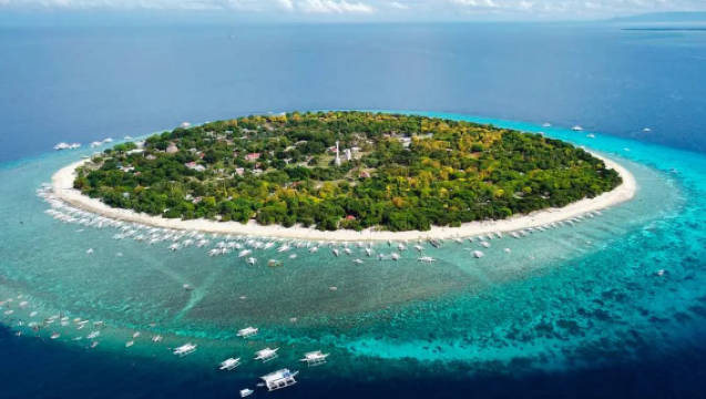 Bohol Island Day Trip | Snorkeling at Balicasag + Strolling on Virgin Island. Dolphin Watching. Turtle Encounter