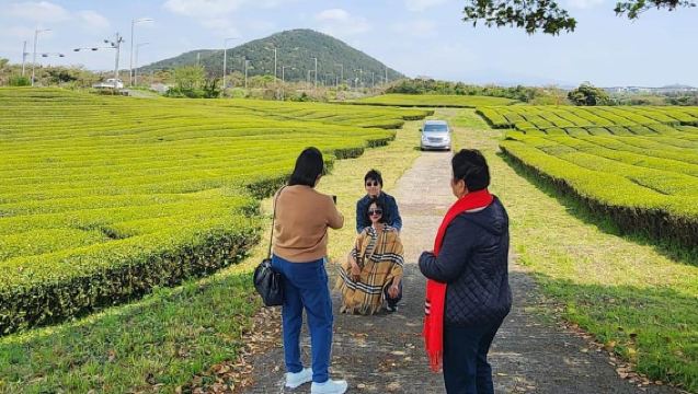 Jeju: Tour en autobús por los principales lugares del sur declarados Patrimonio de la UNESCO y senderismo en el monte Halla