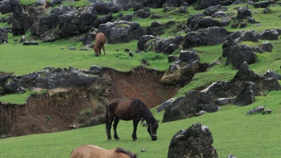 翁布洞穴瀑布+銅鼓盪・雙景秘境一日遊【獨立團+私家團上門接】