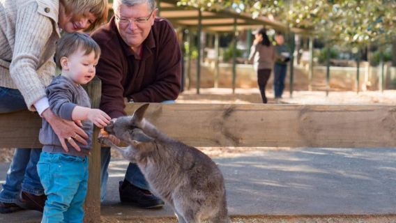 Featherdale Wildlife Park a Sydney + Spettacoli di animali con visita guidata del custode