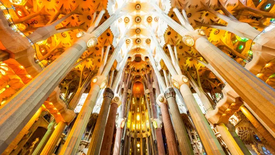 Sunset golden hour guided tour of the Sagrada Familia in Barcelona