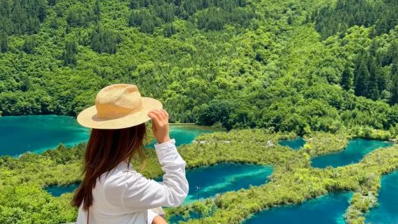Passeio de um dia pelo Condado de Jiuzhaigou [Grupo pequeno de 2-8 pessoas · Busca no hotel + opção de serviço em chinês ou inglês]