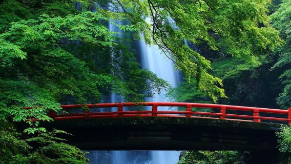 [From Osaka] One-Day Tour Katsuo-ji, Miyama and Arashiyama