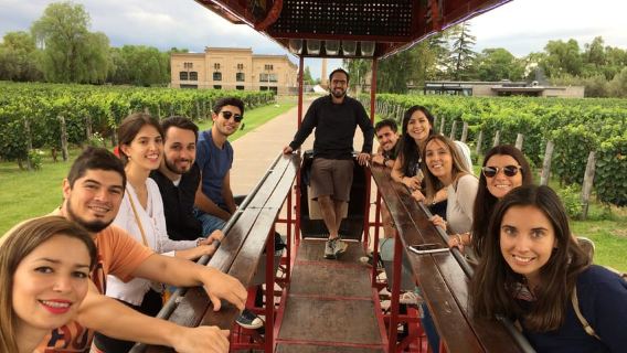 Mendoza: Winebike Tasting Tour with Optional Lunch
