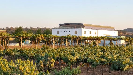 Herdade Canal Caveira 와이너리 방문 및 TOP5 와인 & 타파스