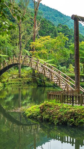 Nantou Xitou Forest Recreation Area + Xitou Monster Village + Zhushan Zinan Temple one-day tour