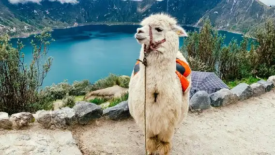 Hiking the Quilotoa loop in Ecuador