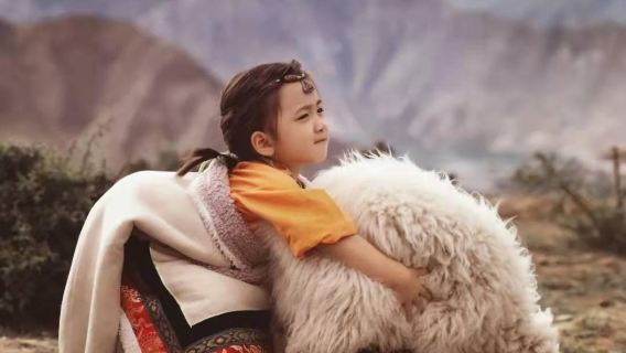 納木措國家公園一日遊【1單1團贈3公升氧氣每車1瓶不含票】