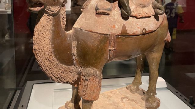 白馬寺+洛陽博物館+龍門石窟一日遊【包車I含門票I上門接駁】