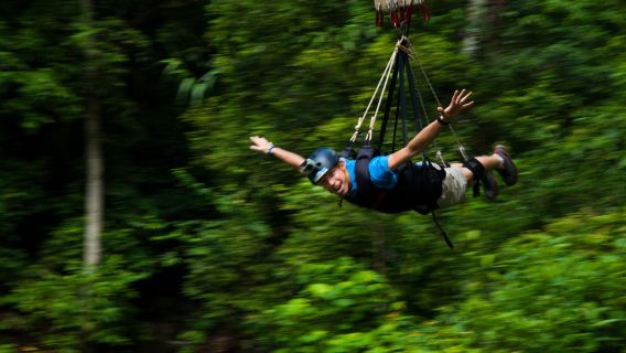 Bungee jumping/altalena nella giungla nella foresta pluviale di Cairns (include foto, video e servizio di trasporto)