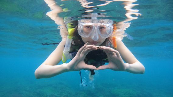 廣西北海潿洲島遊艇帆船出海觀光海釣艇租賃拼船包船出海觀鯨尋鯨浮潛海釣海上項目體驗旅遊