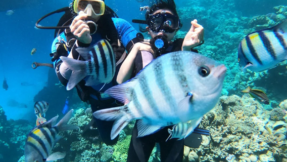 【自營大船】芽莊跳島遊+墨島浮潛+海釣+滑梯+漿板+海鮮午餐