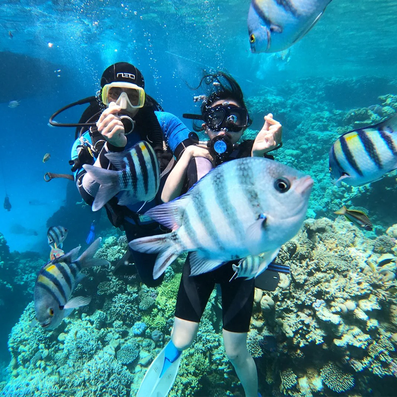 【自營大船】芽莊跳島遊+墨島浮潛+海釣+滑梯+槳板+海鮮午餐