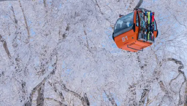 일본 홋카이도 삿포로 국제 스키 리조트 당일 치기 여행 초중급 슬로프, 코치 패키지 선택 가능