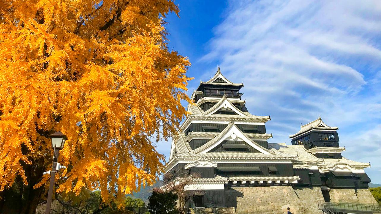 Kumamoto Aso Boy Kumamoto Castle Aso Crater 1-day tour from Fukuoka to Kumamoto