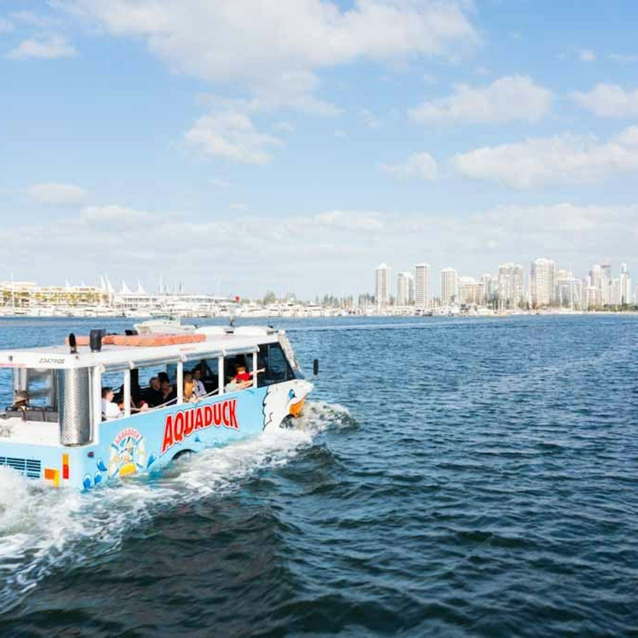 Aquaduck 1-Hour City Tour and River Cruise