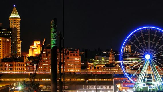 Seattle: Night Tour + Space Needle and Skywheel Entry