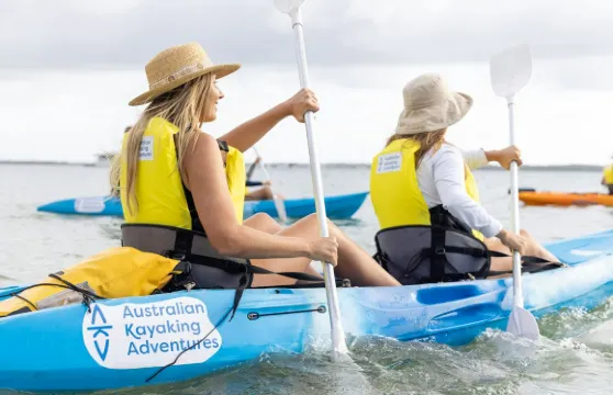 黃金海岸:早晨海豚獨木舟及浮潛之旅